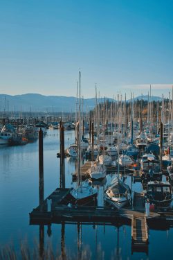 Discover Vancouver Island Homes for Sale with Integra Homes