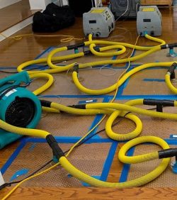 The Importance of Immediate Action for Emergency Flood Cleanup in Barrie