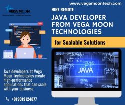 Hire Remote Java Developer from Vega Moon Technologies for Scalable Solutions