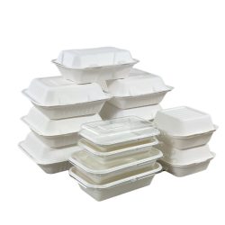 Biodegradable Food Container Bulk Wholesale Manufacturer in China