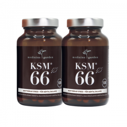 KSM 66 | Ortagubben
