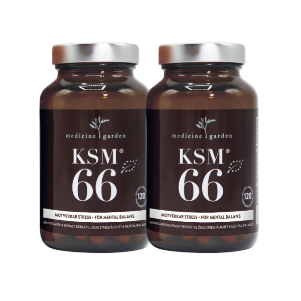 KSM 66 | Ortagubben