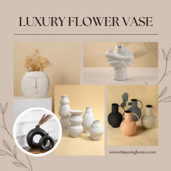 Beautiful Flower Vases In Various Designs And Sizes