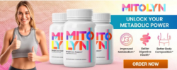Mitolyn Supplement Reviews-((⛔REAL TRUTH EXPOSED!⛔))-Mitolyn Price: Expert Opinions and User Rev ...