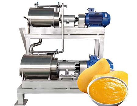 Mango Fruit Pulping Machine