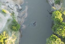 Maasai Mara Tour Packages with Wild Voyager – The Ultimate African Safari Experience