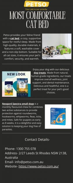 Most Comfortable Cat Bed