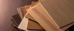 Leading Plywood Manufacturers in India – Ristal Laminates