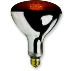 R40/R125 Hard Glass IR Lamp Red Coating