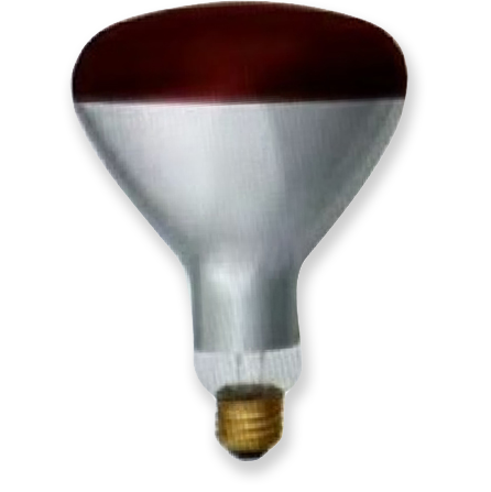 R40/R125 Hard Glass IR Lamp Red Paint