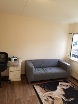 Find Shared Apartments for Rent in Amsterdam