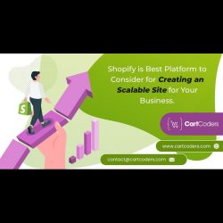 Expert Shopify Development Partners by CartCoders