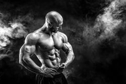 Best Legal Steroids 2025: The Top Legal Supplements for Muscle Gain: Ingredients and Benefits