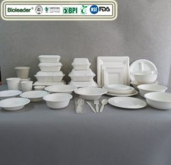 Sugarcane Bagasse Tableware Manufacturer Wholesale