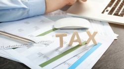 Why Tax Filing Services Are a Must for Small Business Owners