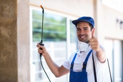 Top Termite Pest Control Singapore Services for Long Term Results