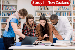New Zealand Education Consultants In Delhi Near You