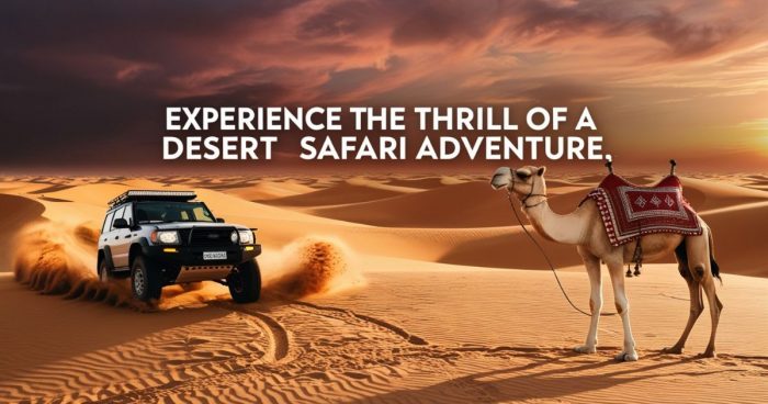 Experience the Thrill of a Desert Safari Adventure