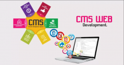 Best-rated Website Development Company in Houston