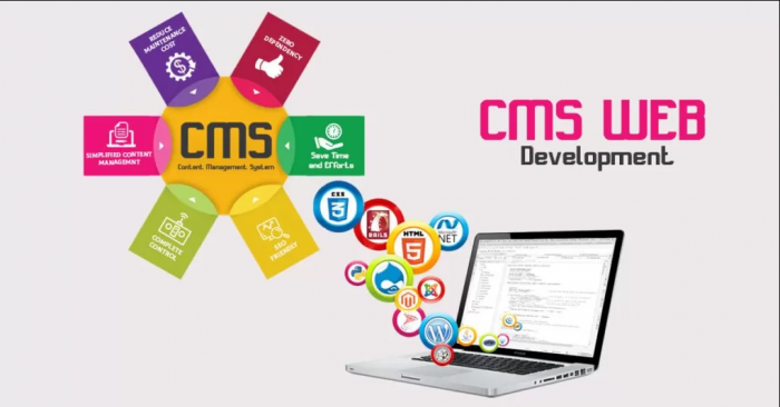 Best-rated Website Development Company in Houston
