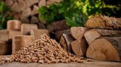 Wood Pellet Machine: Transforming Waste into Sustainable Energy
