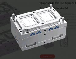 Disposable Plastic Square Four Grid Box And 4+1 Box & Lid Thin Mould