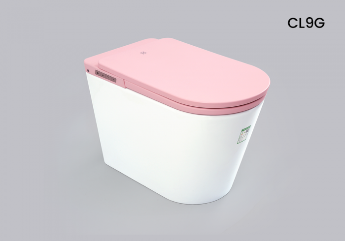 Wall Mounted Smart Bidet Toilet: Redefining Modern Bathroom Luxury