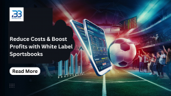 Reduce Costs, Maximize Profits: How White Label Sportsbook Streamline Operations