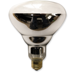 BR40 Infrared Lamp