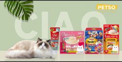 A Delicious Ciao Cat Treats for Your Feline