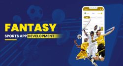 Custom Fantasy Sports App Developers