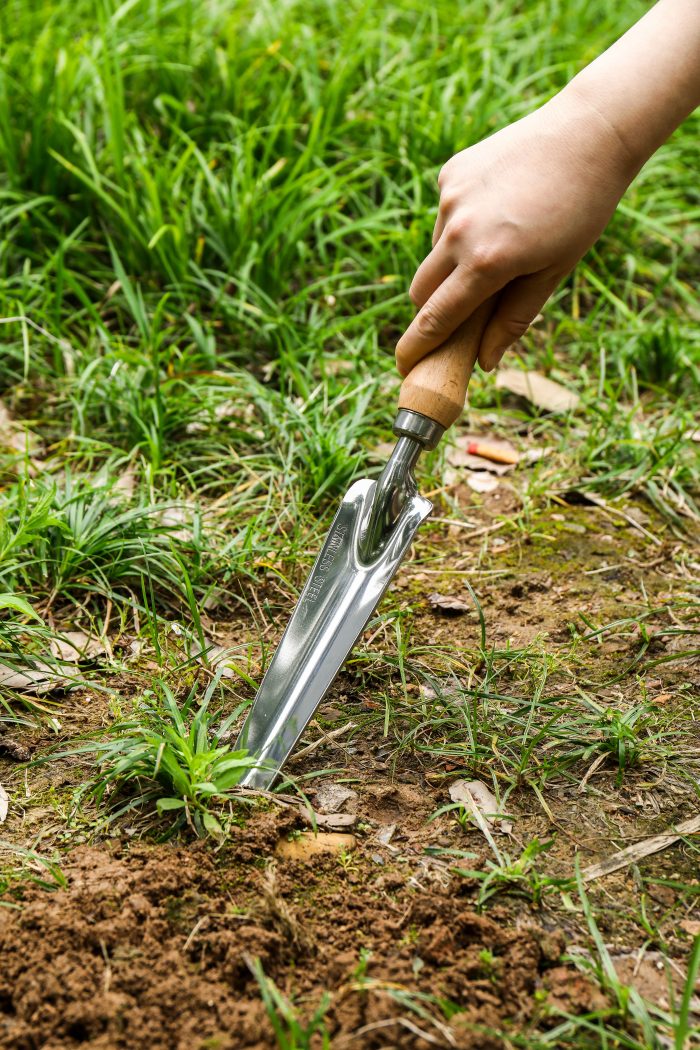 The Ultimate Handheld Garden Shovel for Precision Gardening