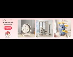 Stylish Fun for Honeypot Cat Tree