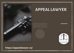 Reliable Criminal Appeal Lawyer with Proven Success