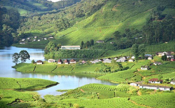 Madurai To Munnar Cab