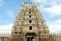 Hyderabad to Nellore Cab