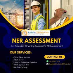 NER Assessment