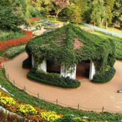 Coimbatore to Ooty Taxi Fare