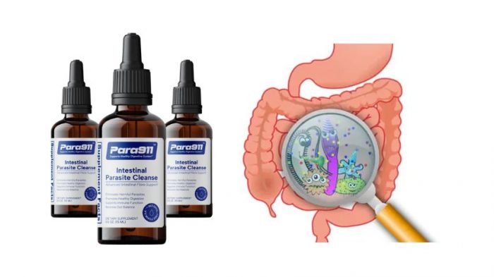 Para911 Parasite Cleanse Canada, Shocking Results, & SHOCKING PRICE?