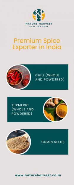 Premium Spice Exporter in India | Nature Harvest