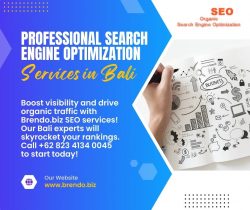 Professional Search Engine Optimization Services Bali