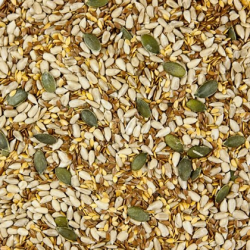 Seeds for Wellness: The Ultimate Guide to Their Health Benefits