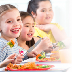 Top Healthy Hot Lunches for Schools in Toronto