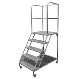 Cleanroom Platform Ladders