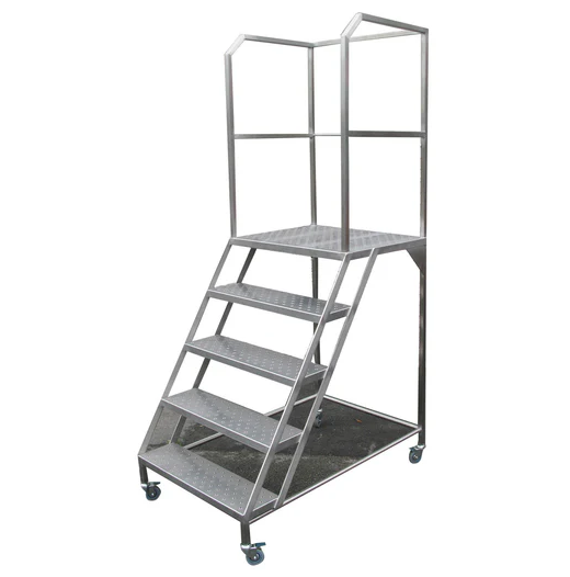 Cleanroom Platform Ladders