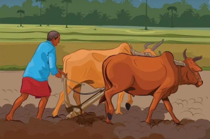 The Benefits of Sourcing Sustainable Agricultural Products