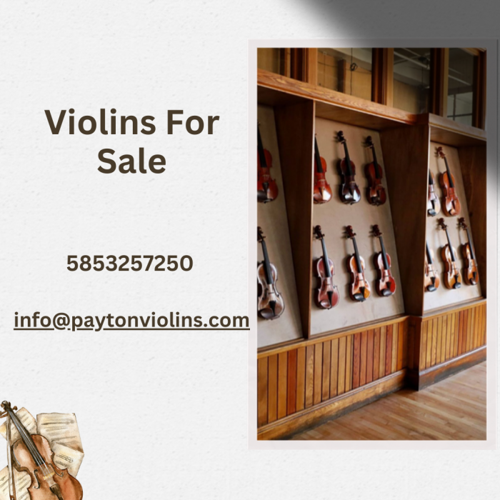 Violins For Sale