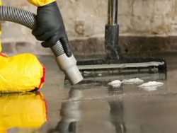 How to Safely Remove Mold After Emergency Flood Cleanup