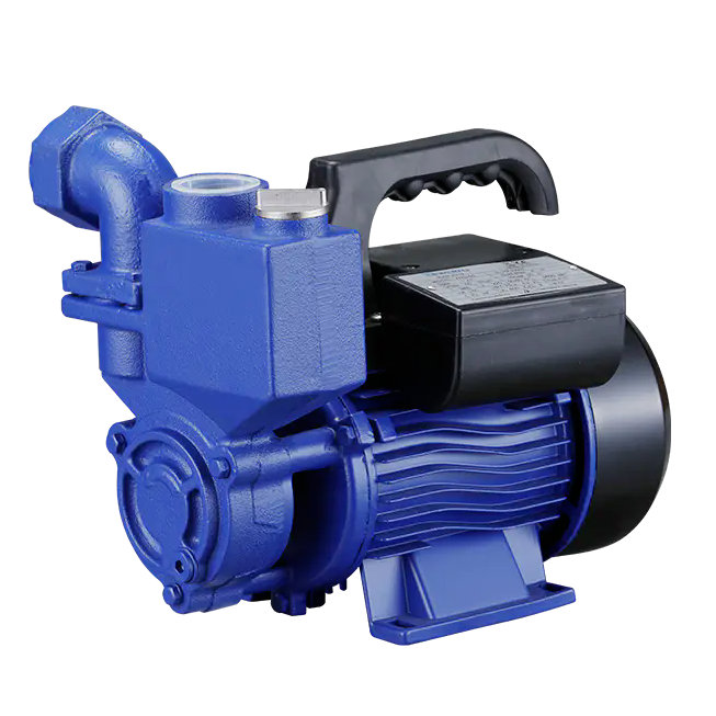 The Functionality of Automatic Peripheral Pumps