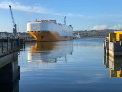 Ireland-Africa & Ireland-Zeebrugge Shipping: Reliable and Efficient Freight Solutions